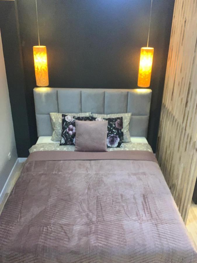 Petit Appartement Kraków Eksteriør billede